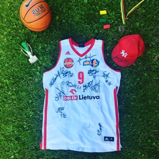 Ignas Vaitkus/Mažeikiai/2013-2014 m. 