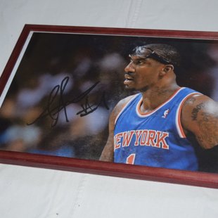 Amare Stoudamire