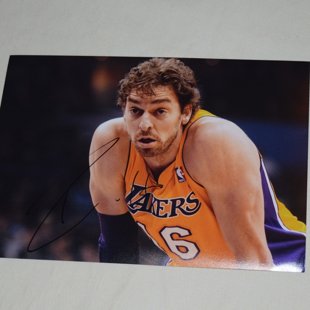 Pau Gasol