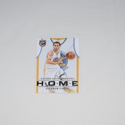 2015-16 m. Panini Complete kortelė